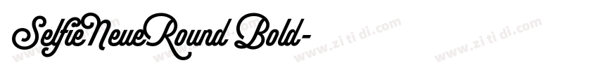 SelfieNeueRound Bold字体转换